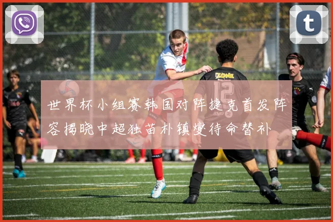 世界杯小组赛韩国对阵捷克首发阵容揭晓中超独苗朴镇燮待命替补