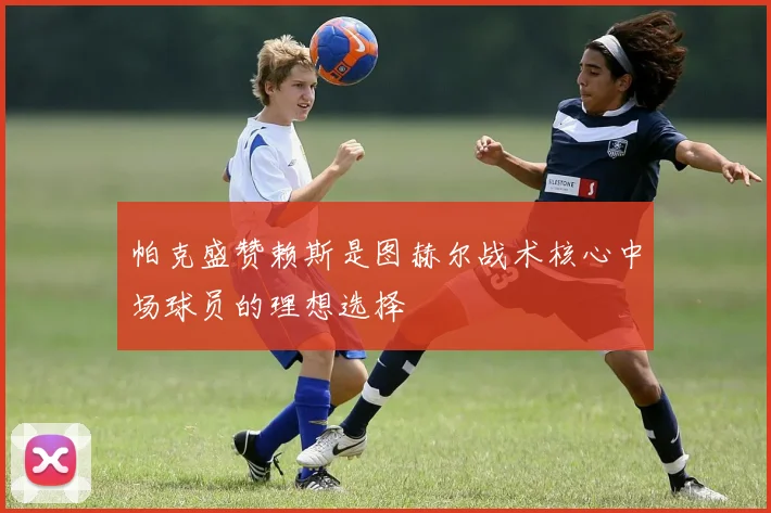 帕克盛赞赖斯是图赫尔战术核心中场球员的理想选择