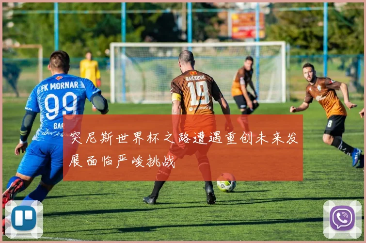 突尼斯世界杯之路遭遇重创未来发展面临严峻挑战