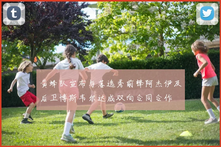 黄蜂队宣布与落选秀前锋阿杰伊及后卫博斯韦尔达成双向合同合作